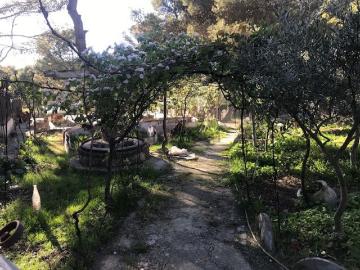 Chalet, Las Peñas de Riglos