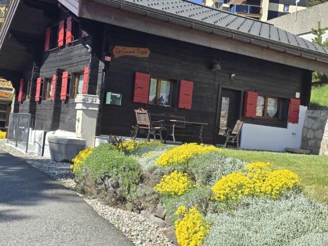 Chalet Le Grand Sapin