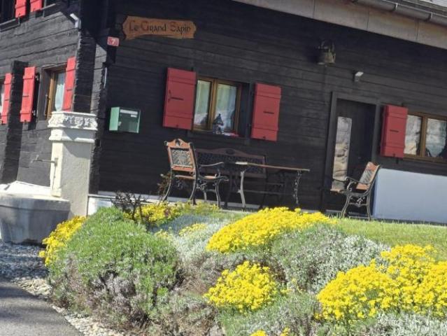 Chalet Le Grand Sapin