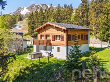 Chalet lumineux avec espace bien être et accès direct aux pistes