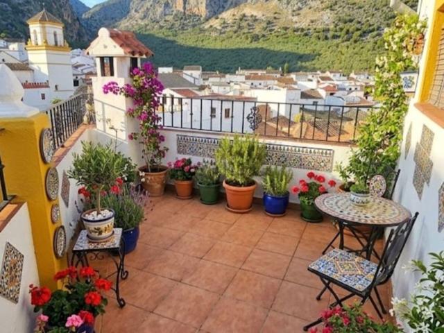 Chalet, Montejaque