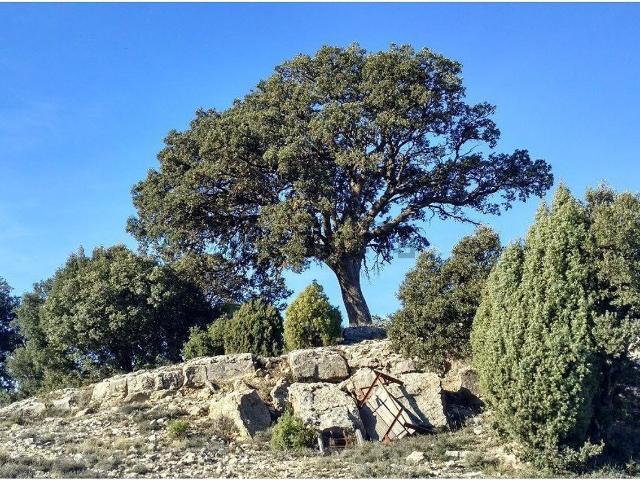 Chalet, Morella