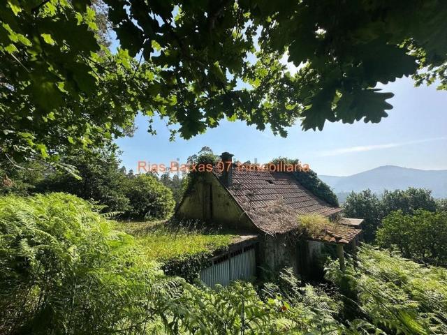 Chalet, Mos