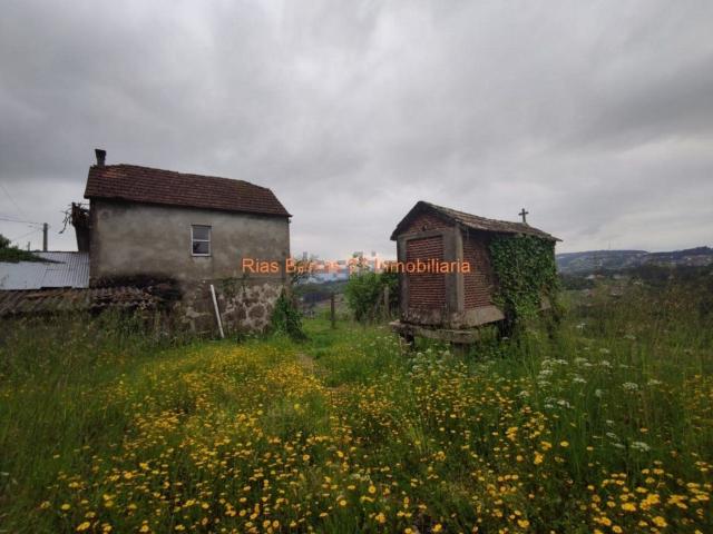 Chalet, Mos