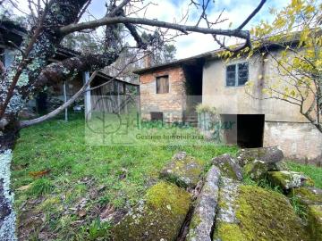 Chalet, Mos