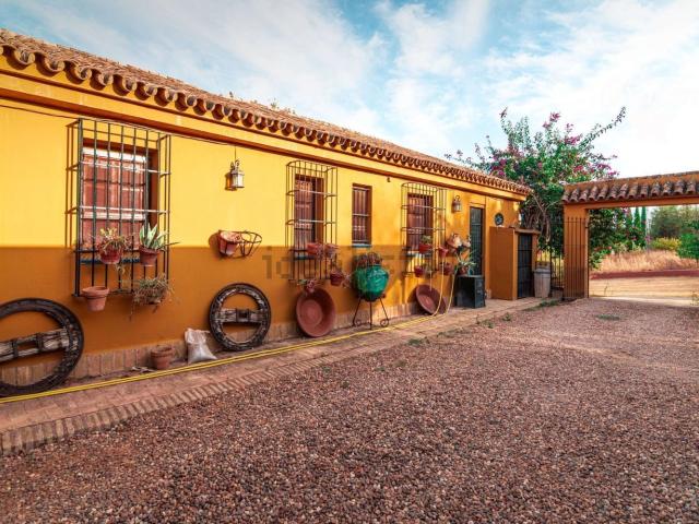 Chalet, Mairena del Alcor