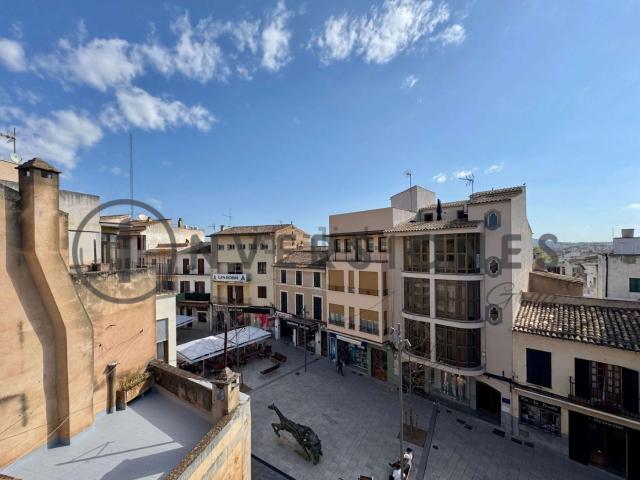 Chalet, Manacor