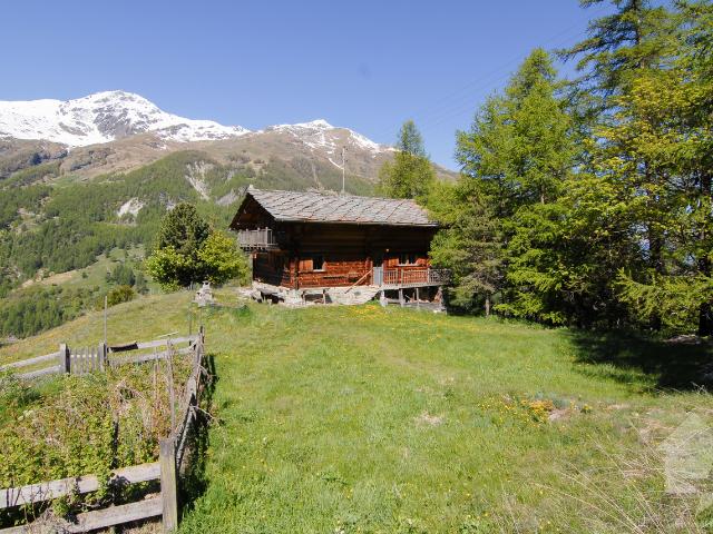 Chalet mit privilegiertem Blick auf die Berge und Gletscher