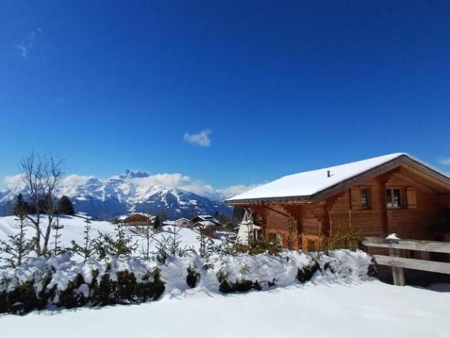 Chalet mit 6 Zimmern in Villars sur Ollon