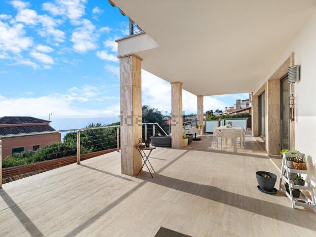 Chalet, S&apos Illot