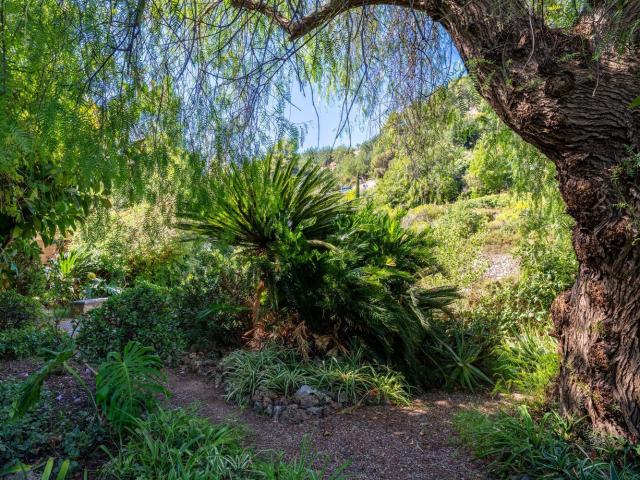 Chalet, Soller