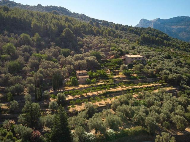 Chalet, Soller