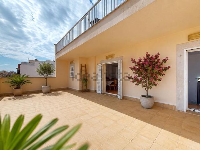 Chalet, Son Canals, Palma de Mallorca