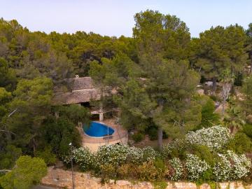 Casa en venta en Son Ferragut - Chimenea