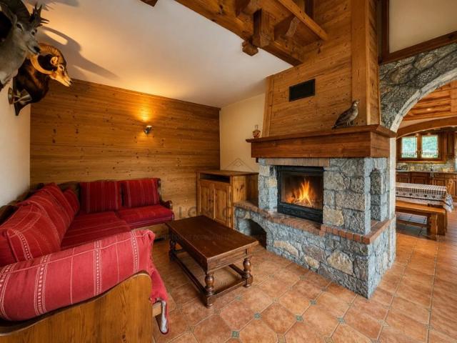Chalet savoyard avec vue panoramique, terrasse et double garage