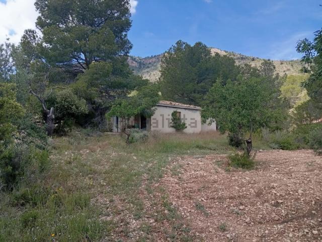Chalet, Salinas