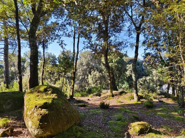 Chalet, Sant Aniol de Finestres