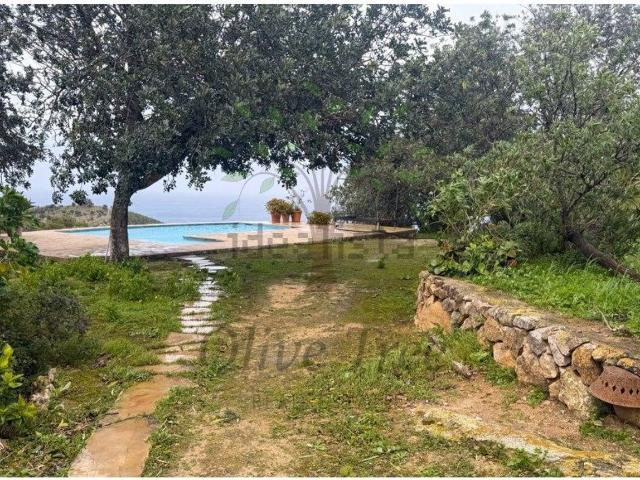 Chalet, Sant Joan de Labritja