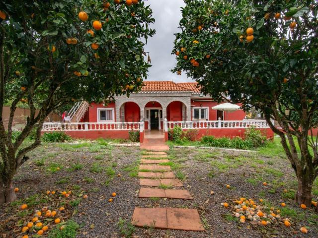 Chalet, Santa Maria de Guia de Gran Canaria