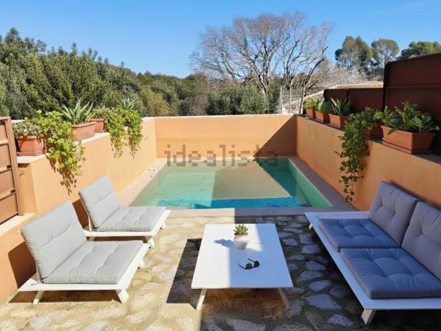 Chalet, Selva