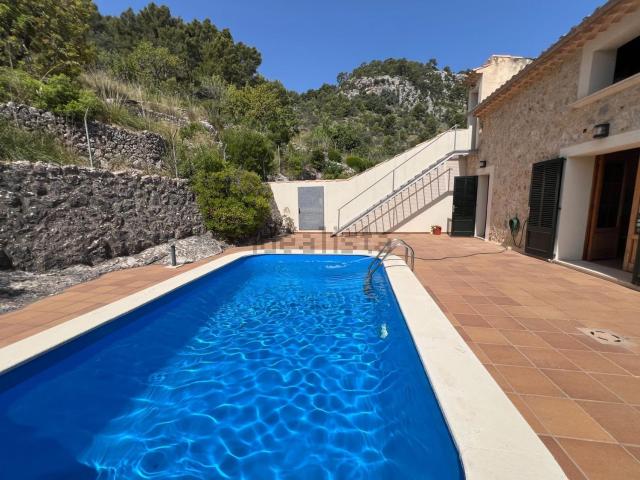 Chalet, Selva