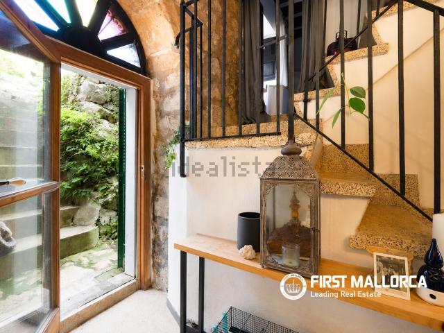 Chalet, Selva
