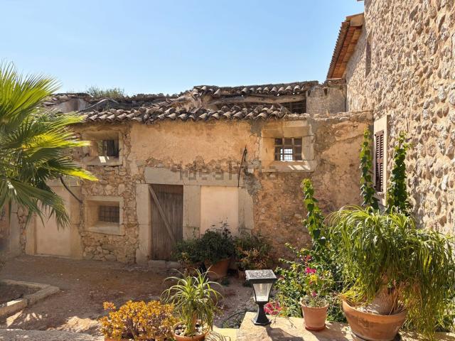 Chalet, Selva
