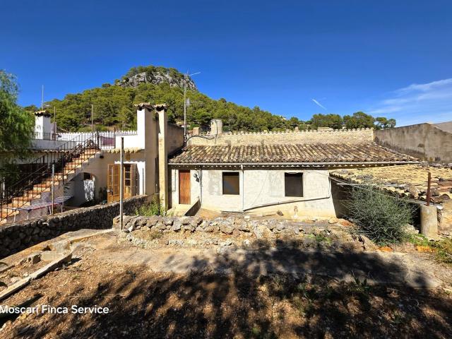 Chalet, Selva