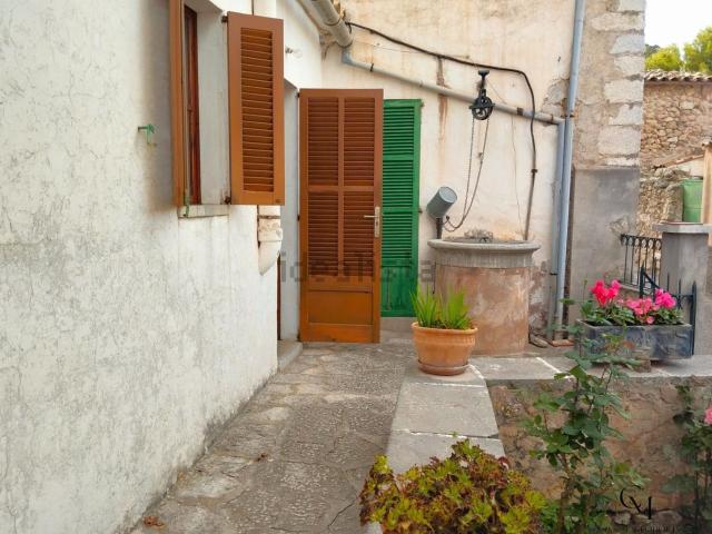 Chalet, Selva