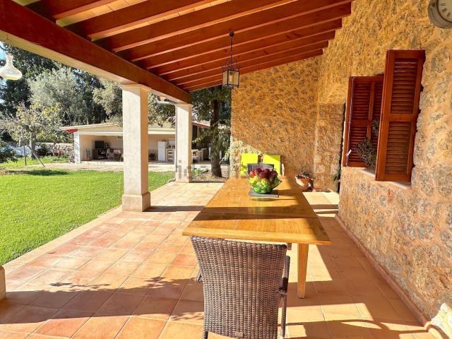 Chalet, Selva
