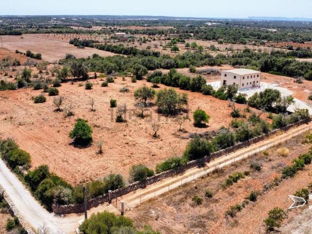 Chalet, Ses Salines Mallorca