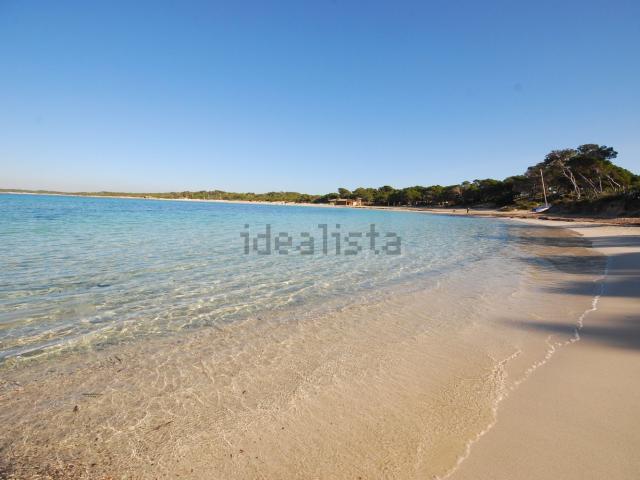 Chalet, Ses Salines Mallorca