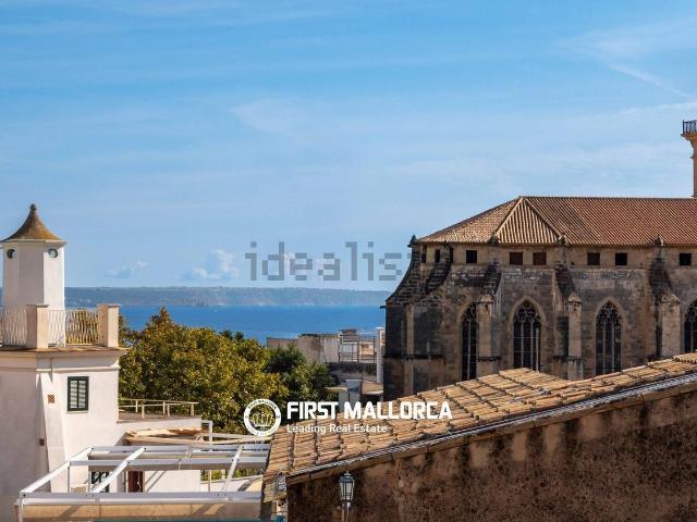 Chalet, Sindicat, Palma de Mallorca