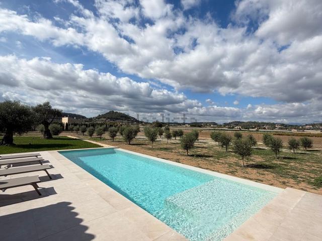 Chalet, Sineu