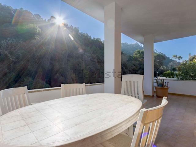 Chalet, Pollença