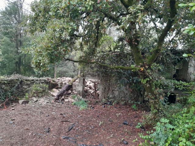 Chalet, Ponteareas