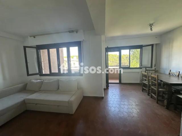 Chalet pareado en alquiler en Paseo del rio lozoya