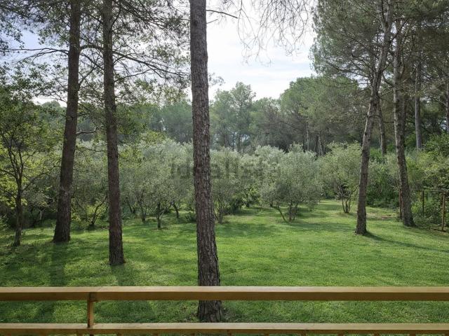 Chalet, Parlavá