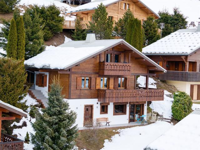 Chalet Petit Cha 132m² Châtel