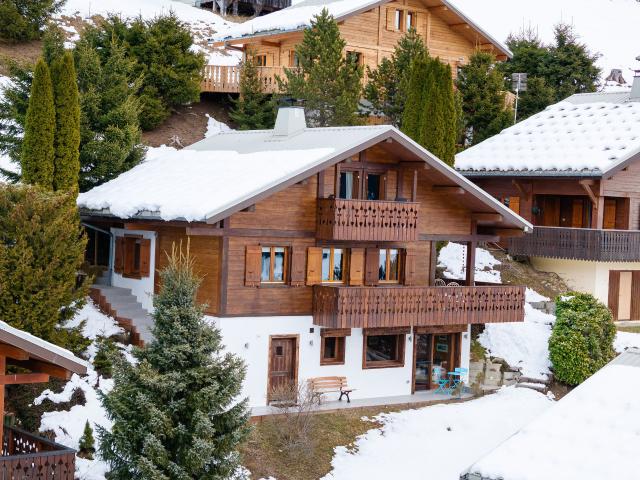 Chalet Petit Chatel