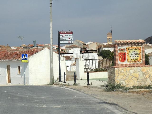 Chalet, Pedro Martinez