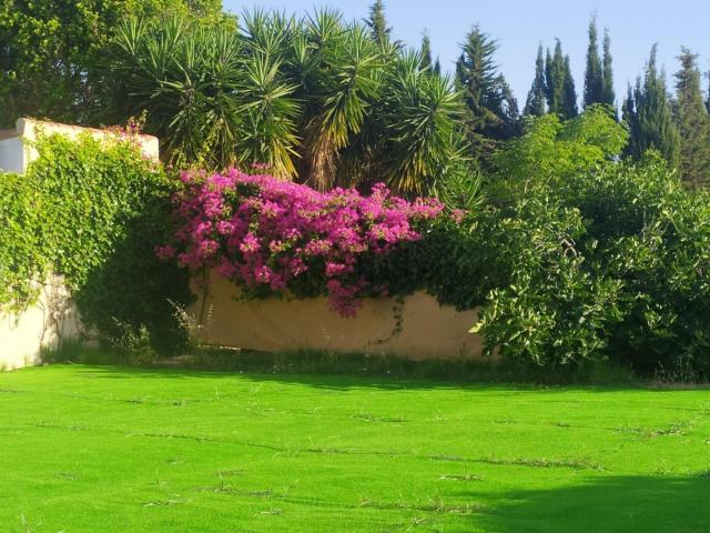 Chalet, Pizarra