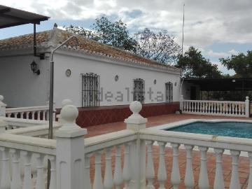 Zalea, Málaga, Andalucía, Andalucía
