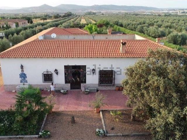 Chalet, Piedrabuena