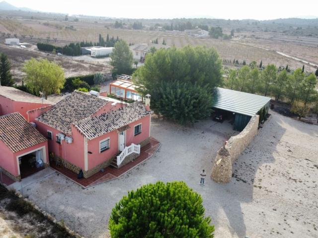 Chalet, Pinoso