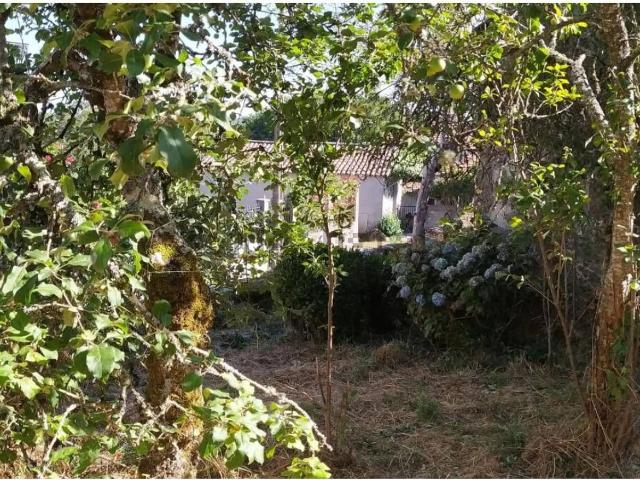 Chalet, Piñor
