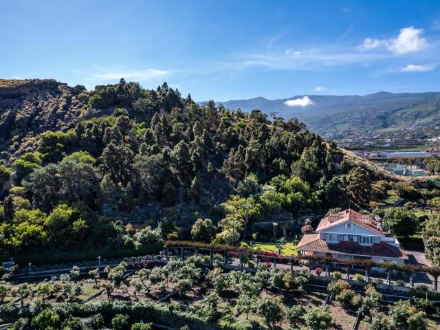 Chalet, Puerto de la Cruz