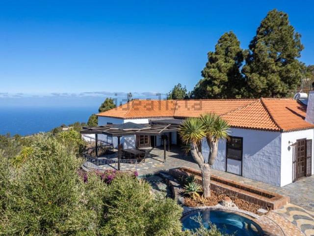 Chalet, Puntagorda