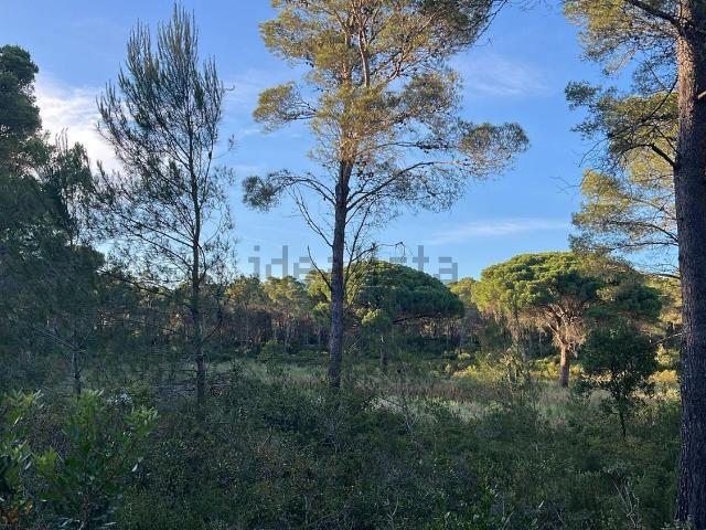 Chalet, Riells, L&apos Escala