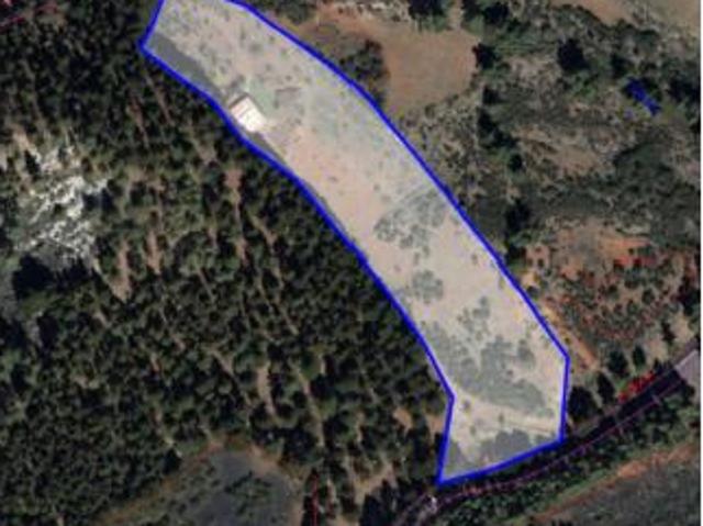Chalet rústico Venta Tejeda, Casa Forestal Pajonales
